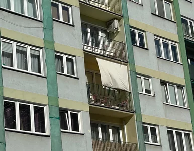 Miniatura: Włosi i Grecy robią to od pokoleń. Dzięki...