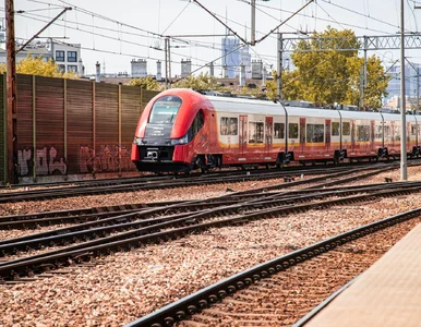 Miniatura: Rejs z pięknymi widokami i przejazd...