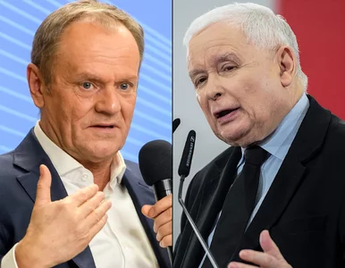Miniatura: Polacy wskazali faworyta. Zaskakujące...