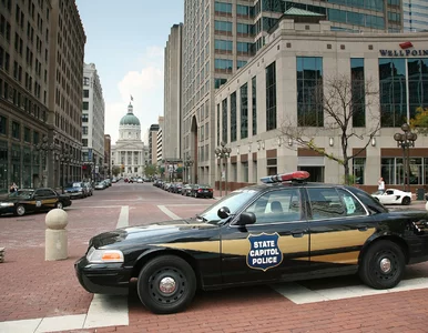 Miniatura: Sprzątaczka pomyliła adresy. Właściciel...