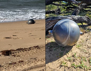 Miniatura: Futurystyczne kule na plaży. ASA: To...