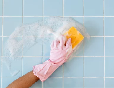 Miniatura: Grzyb na fugach zimą jest większy? Ten...