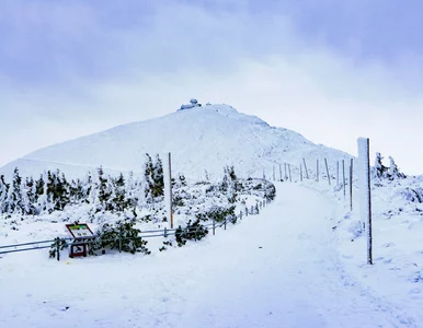 Miniatura: Restauracja powróci na słynny polski...