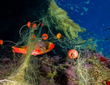 Miniatura: Oceany pełne „duchów”. Czoła stawiają im...