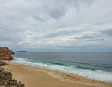 Miniatura: Odkryli butelkę z 1916 roku. W środku...