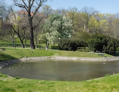 Miniatura: Warszawski park przejdzie metamorfozę....