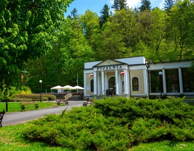 Miniatura: Słońce, piękne widoki i SPA. W tych...