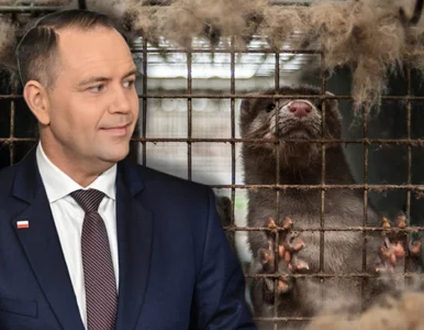 Miniatura: Miliony Polaków chcą podpisu pod tą...