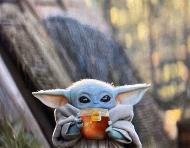 Miniatura: Baby Yoda popija zupę. Zachwycona...