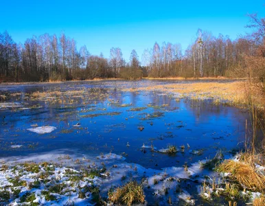 Miniatura: Prognoza pogody na końcówkę lutego....