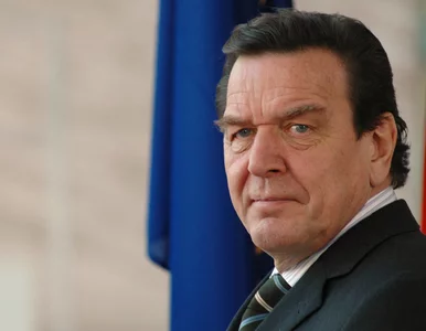 Miniatura: Były kanclerz na celowniku. Pieniądze z...