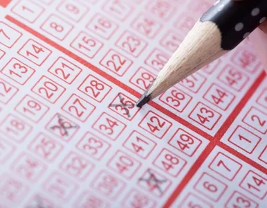Miniatura: Wyniki Lotto z 31.01. Te liczby padły w...