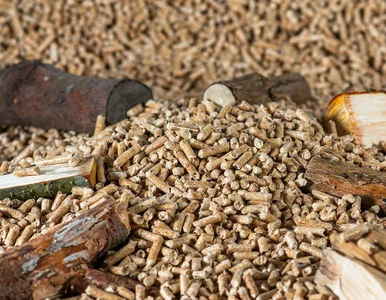 Miniatura: Pellet drożeje! Sprawdź ceny we wrześniu...