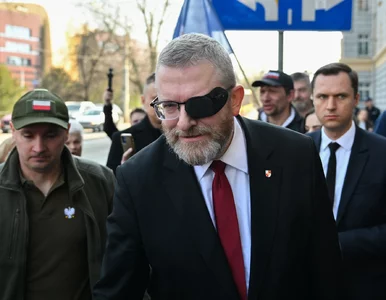 Miniatura: „Celowa obstrukcja” Grzegorza Brauna? Miał...