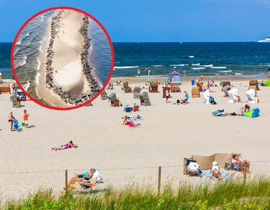Miniatura: Wyjątkowe nagranie z polskiej plaży....