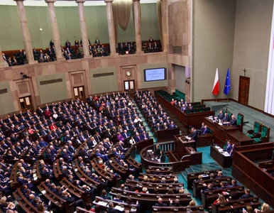 Miniatura: NA ŻYWO: Sejm decyduje o związkach...