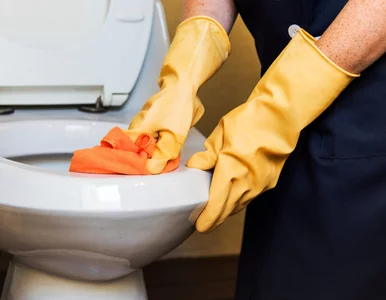 Miniatura: Jak usunąć kamień z muszli klozetowej?...