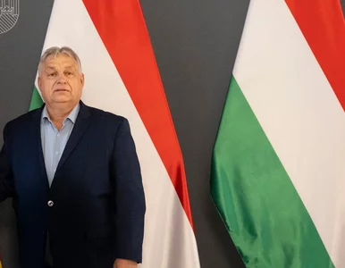 Miniatura: Chaos przed wyborami na Węgrzech....