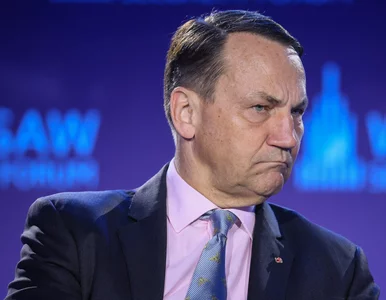 Miniatura: Sikorski o propozycji z ośrodka...