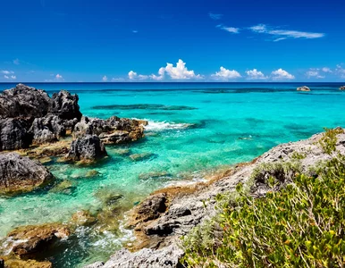 Miniatura: Bermudy skrywają gigantyczną anomalię....