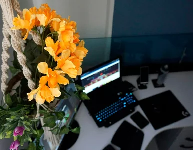 Miniatura: Szybki quiz ortograficzny na weekend....