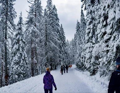 Miniatura: Gigantyczna zmiana w Tatrach. Pilny...