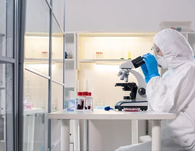 Miniatura: Raka trzustki można zastopować. Oto...