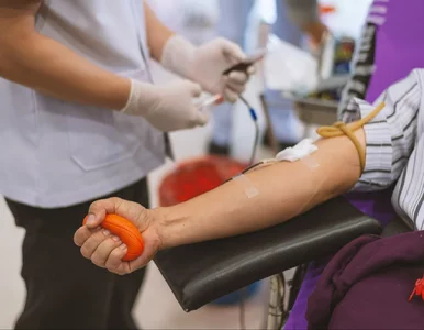 Miniatura: Dawcom krwi należy się wolne w pracy....