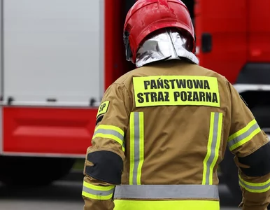 Miniatura: Zamiast dialogu był gaz pieprzowy....