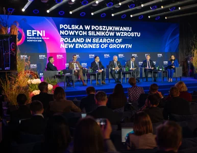 Miniatura: Polska gospodarka między energią,...