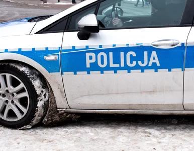 Miniatura: Wstrząsające odkrycie w warszawskiej...