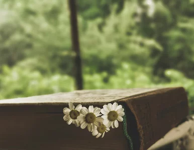 Miniatura: Quiz ortograficzny na start tygodnia....