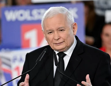 Miniatura: Sondaż może być przestrogą dla Tuska. PiS...