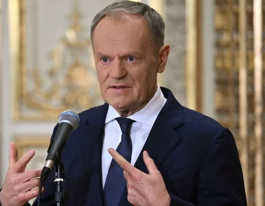 Miniatura: Reforma PIP zablokowana. Tusk zapowiada...