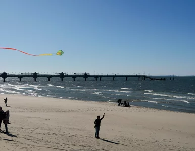 Miniatura: Tragedia na polskiej plaży. Turysty nie...