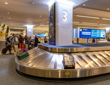 Miniatura: To zachowanie na lotniskach jest...