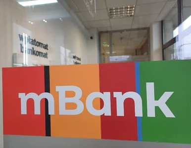 Miniatura: Milionowa kara dla banku. Lista zarzutów...