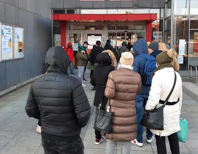 Miniatura: Polacy szturmują urzędy. Kary do 500 zł...