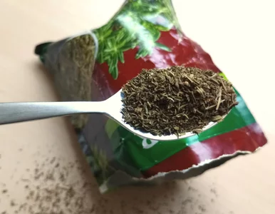 Miniatura: Lepszy niż majeranek, a Polacy o nim...