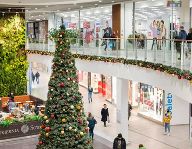 Miniatura: Czy dziś jest niedziela handlowa? Gdzie...