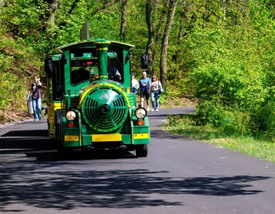 Miniatura: Atrakcja dla całej rodziny za złotówkę....