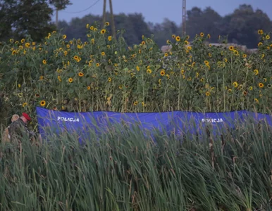 Miniatura: Szczątki trzech kolejnych dronów...
