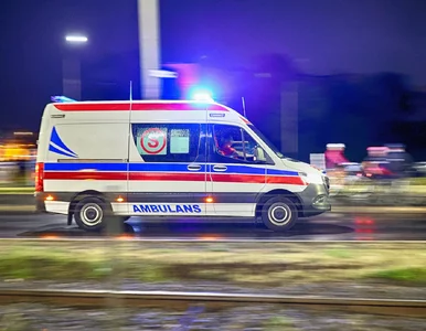 Miniatura: W okolicy panował wzmożony ruch. Nagle z...