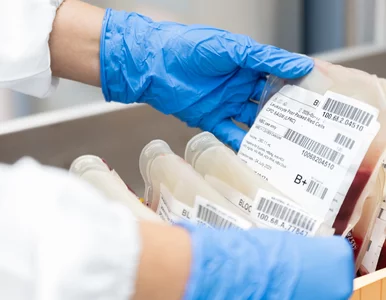 Miniatura: Zaskakujące odkrycie naukowców. Ta grupa...