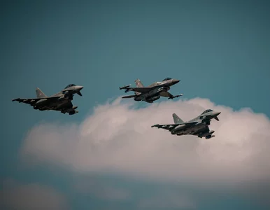 Miniatura: Niepokojący incydent blisko polskiej...