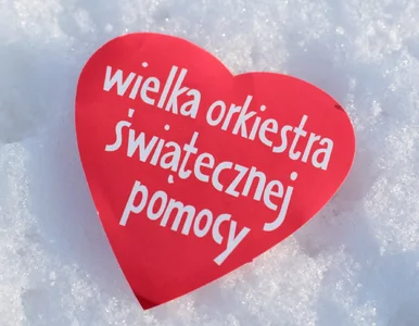 Miniatura: Nietypowe narodziny w warszawskim ZOO....