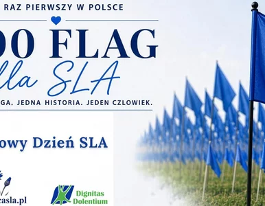 Miniatura: 800 błękitnych flag stanie na Cytadeli. Za...