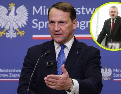 Miniatura: Sikorski zarzucił Hołowni błąd ws. Brauna....