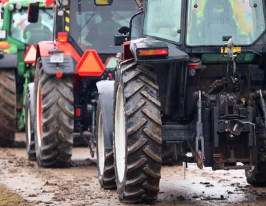 Miniatura: Rolnicy ruszą na Warszawę? Możliwy strajk...