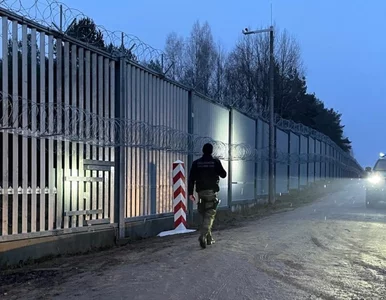 Miniatura: Migranci odpuszczają? Ten raport nie...